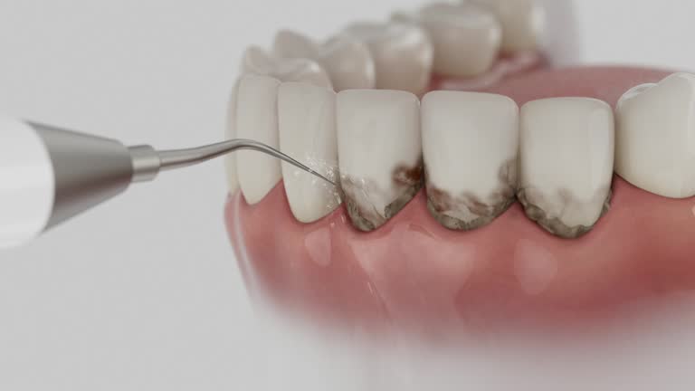 Reliable Dental contractor in Braddock, PA by Dentist Open Now
